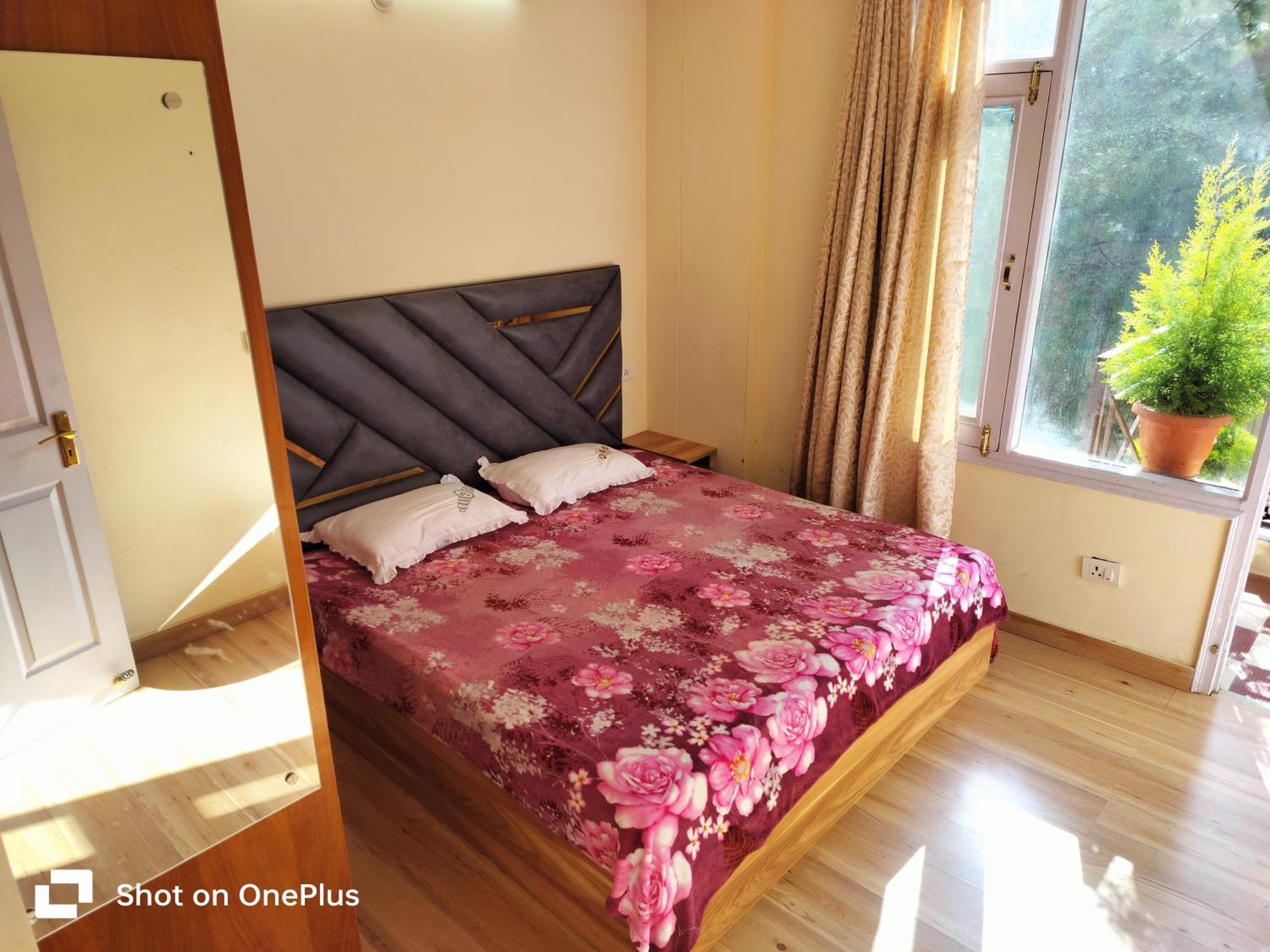 Shimla Vibes B & B Free Pick & Drop From Isbt Shimla Exterior foto
