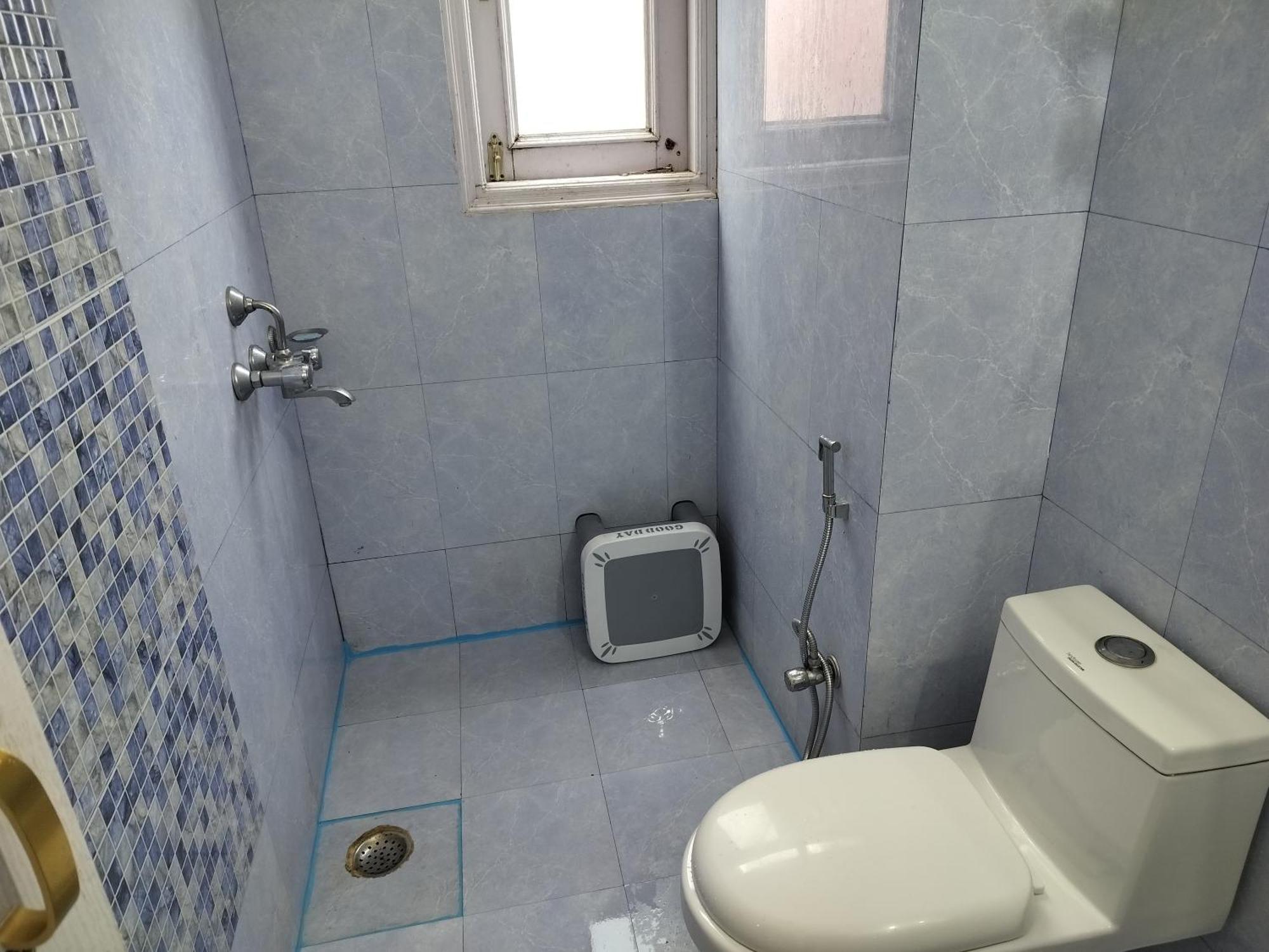 Shimla Vibes B & B Free Pick & Drop From Isbt Shimla Exterior foto