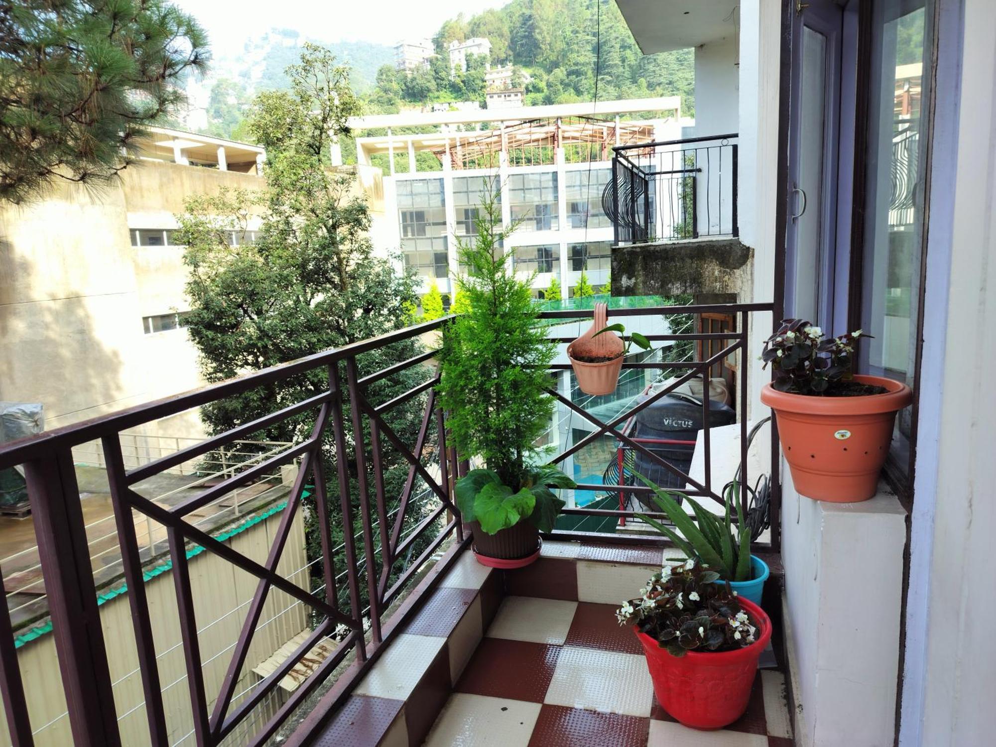 Shimla Vibes B & B Free Pick & Drop From Isbt Shimla Exterior foto